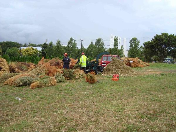 Returned trees get chipped